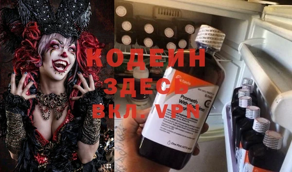 хмурый Аркадак
