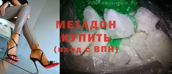 хмурый Аркадак