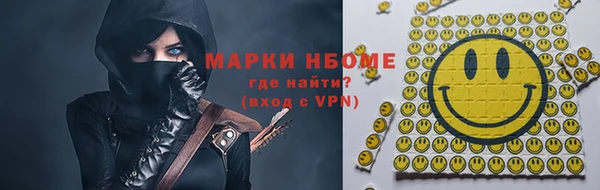 хмурый Аркадак