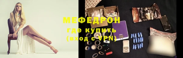 хмурый Аркадак