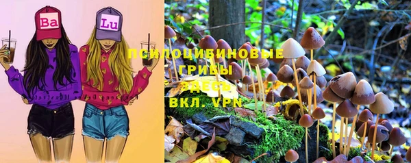прущий лед Арсеньев