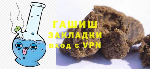 хмурый Аркадак