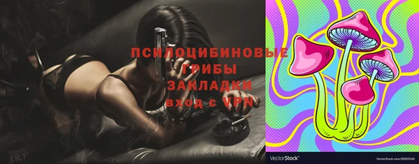 прущий лед Арсеньев