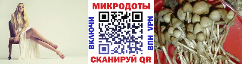 Псилоцибиновые грибы MAGIC MUSHROOMS  Торопец 